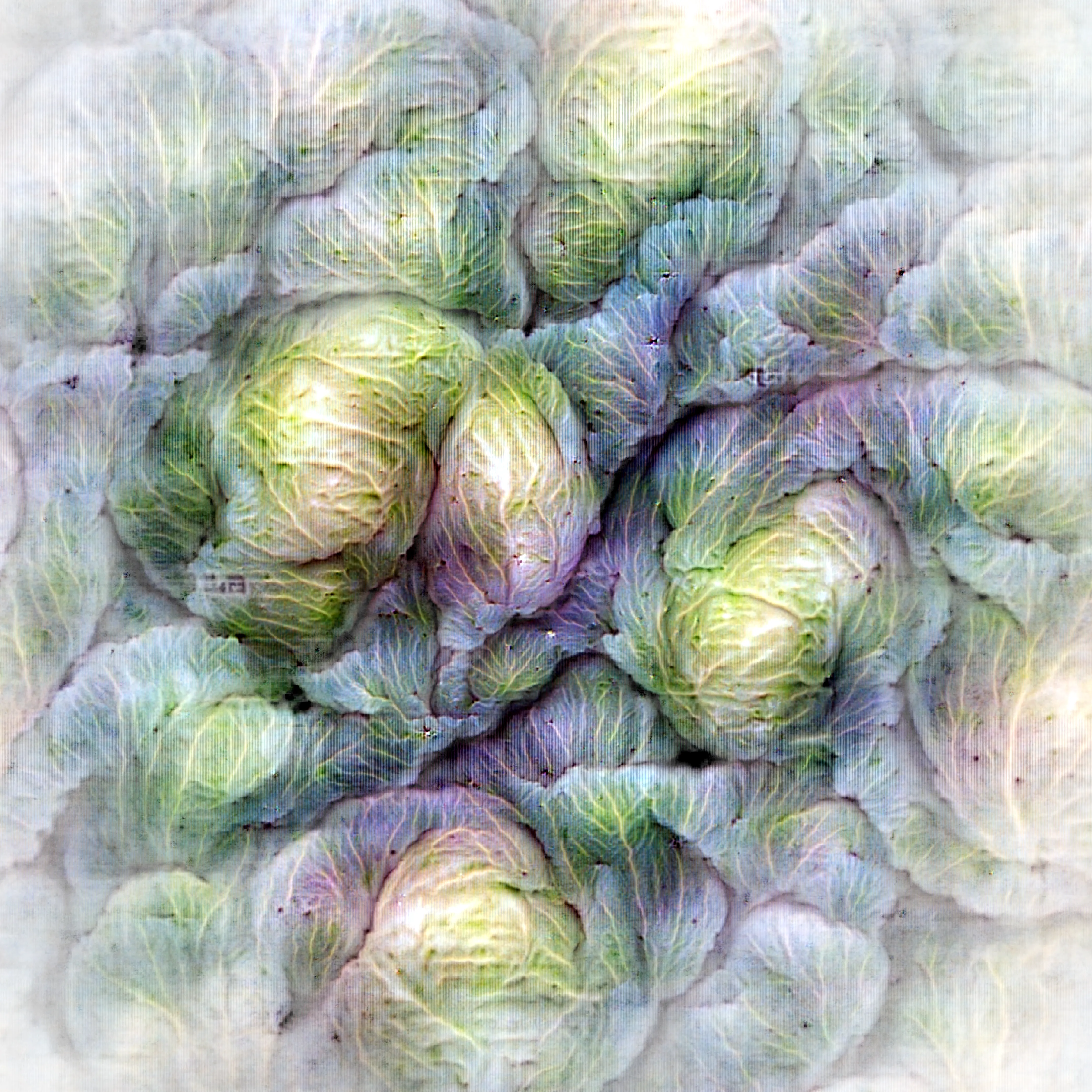 ViT-B feature visualization for image 520