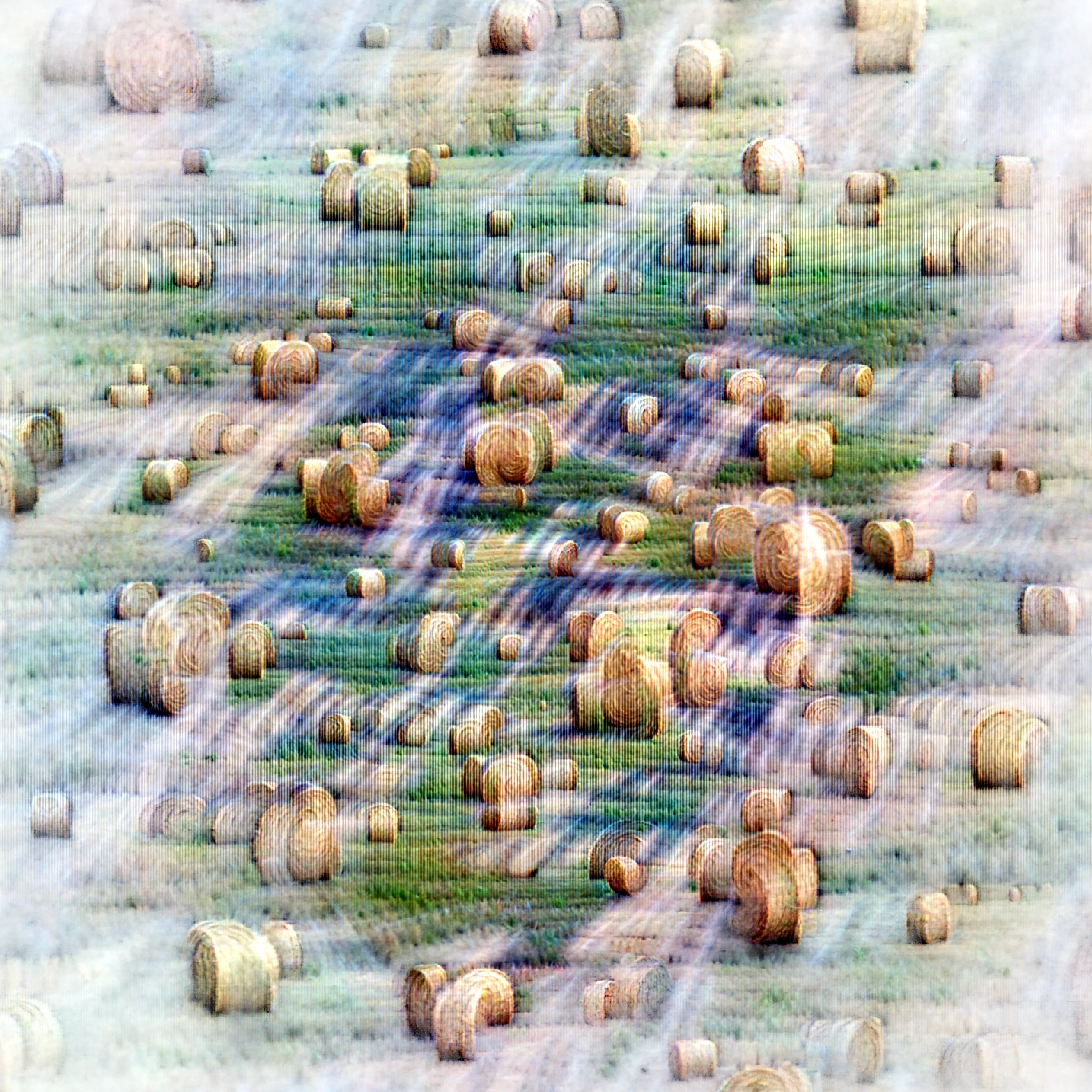 DINOv2 feature visualization for image 530